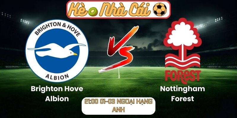 Soi kèo trận đấu Brighton Hove Albion vs Nottingham Forest (21:00 01-03, Ngoại hạng Anh) 1 Soi kèo trận đấu Brighton Hove Albion vs Nottingham Forest (21:00 01-03, Ngoại hạng Anh)